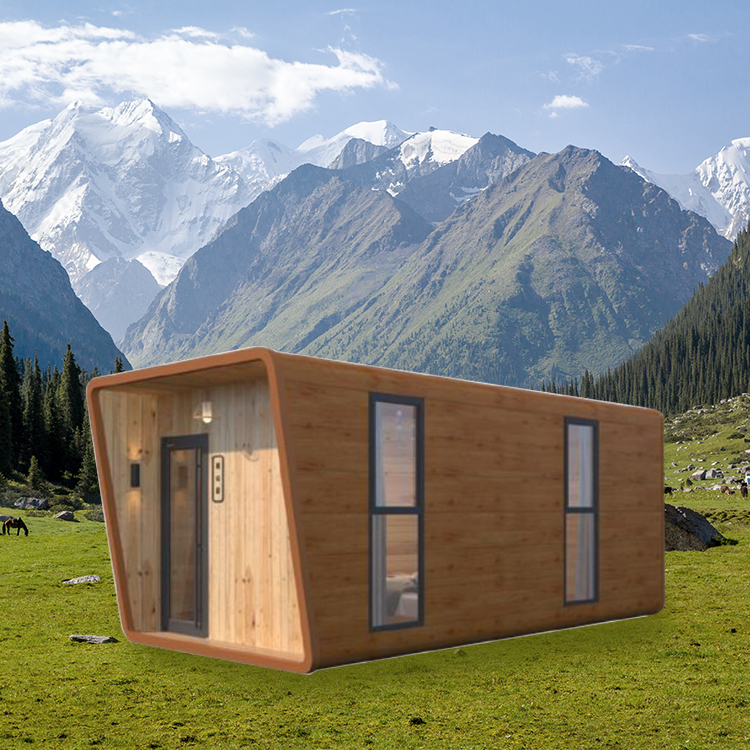 Nanshan Residence Double Standard Deep Coffee Color-2